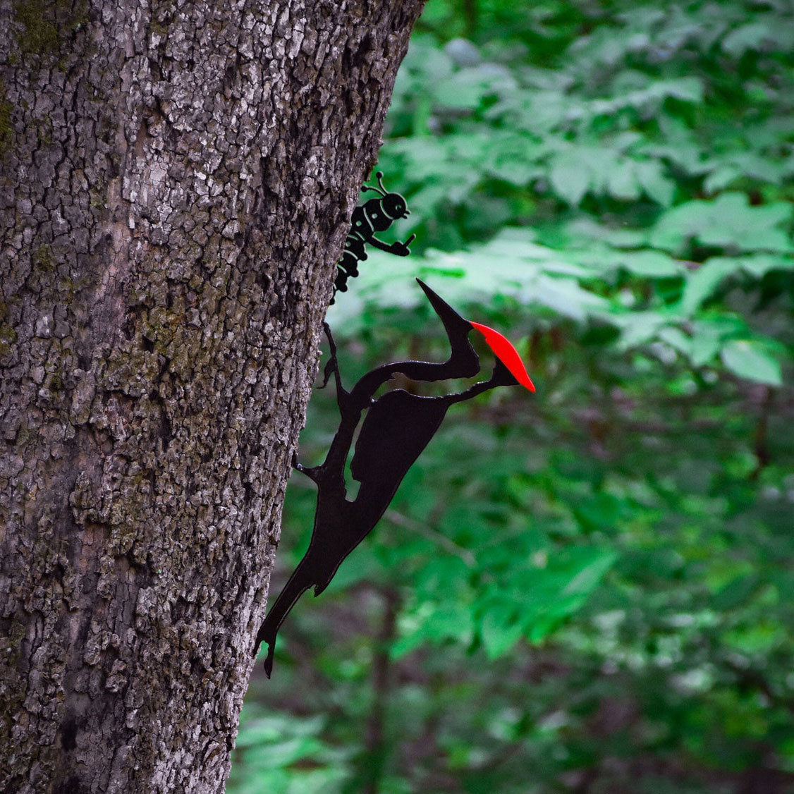 Pileated Woodpecker and Middle Finger Bug Metal Art