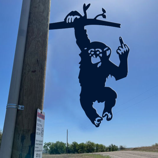 Metal of a monkey with the middle finger raised