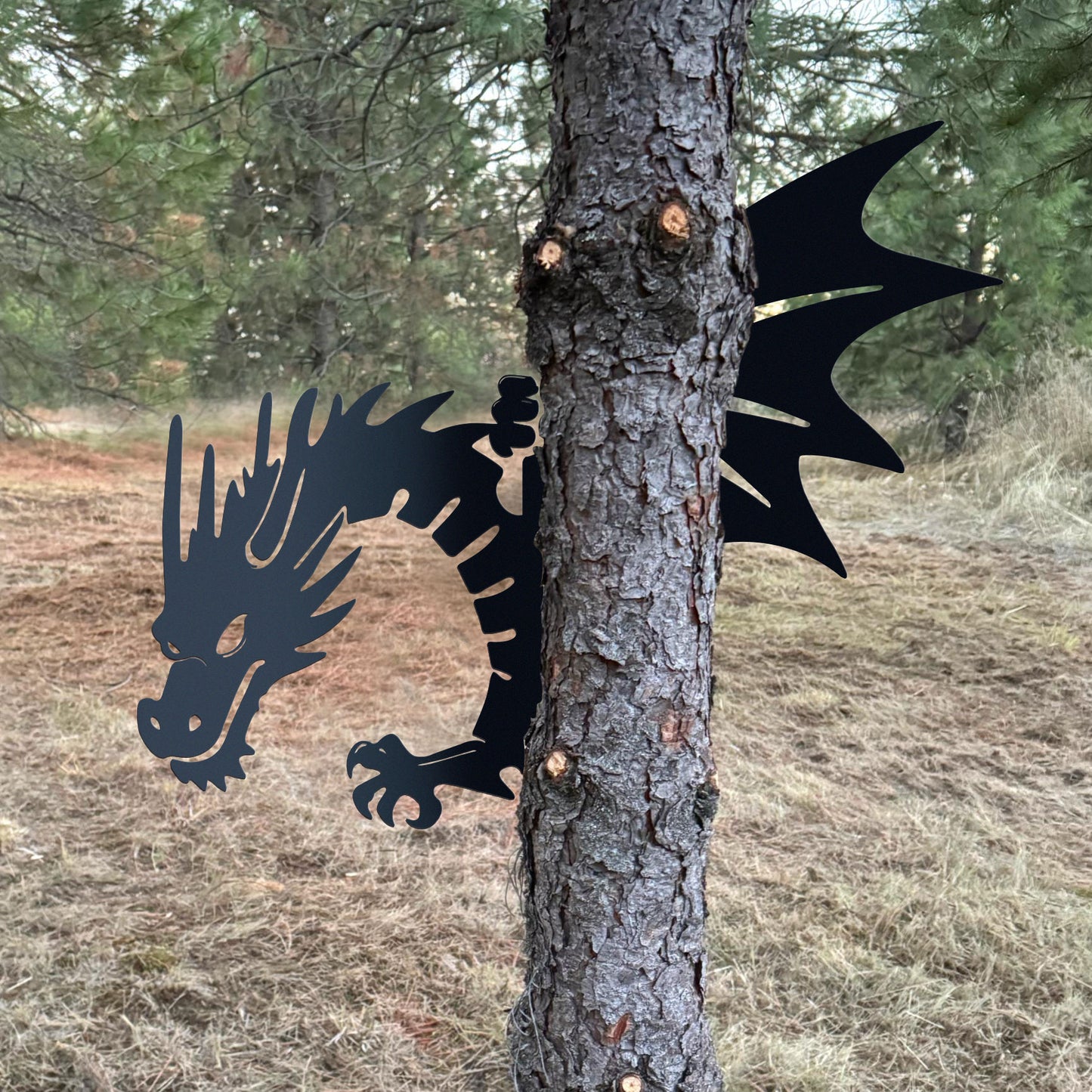 Dragon Peeping Metal Art