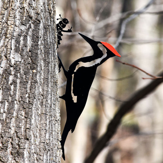 Pileated Woodpecker and Middle Finger Bug Metal Art